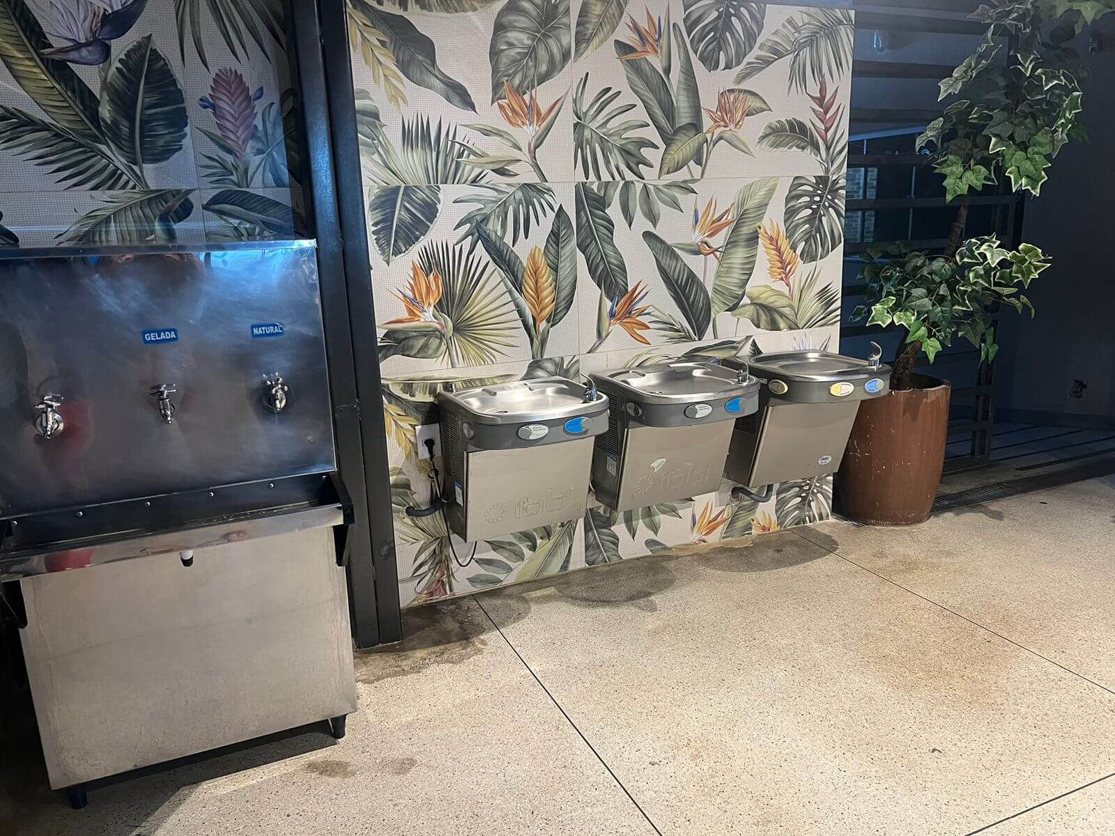 WhatsApp Image 2024-08-20 at 11.56.45